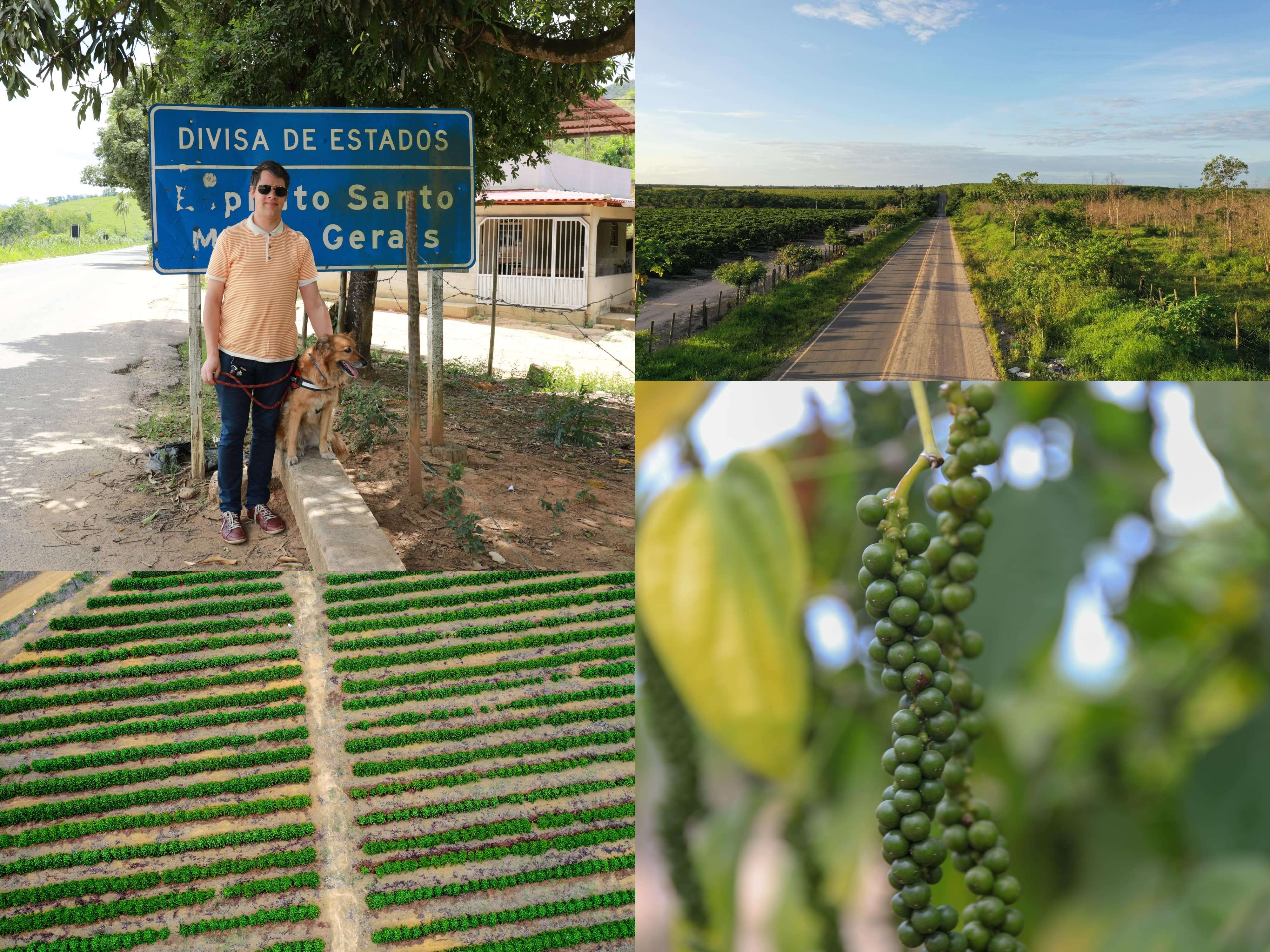Le Comptoir de Toamasina et Arnaud sélectionne pour vous les meilleures poivres noirs du Brésil en grain